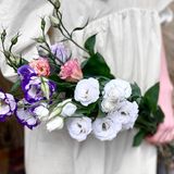 ფერადი ეუსტომა (10 ტოტი)