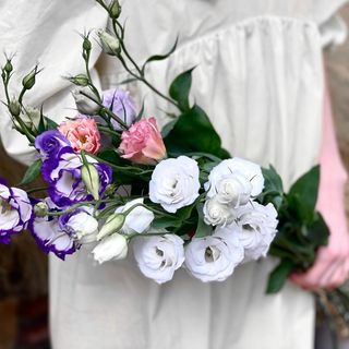 ფერადი ეუსტომა (10 ტოტი)