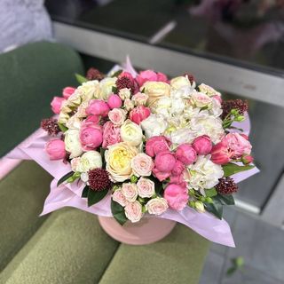 Солодка мрія 