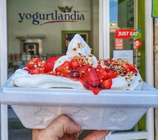 Vaschetta yogurt bianco asporto grande