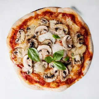 Funghi