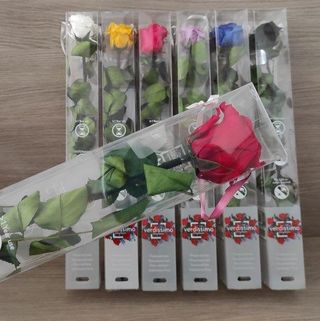 Rosa Color  Eterna Tallo Corto