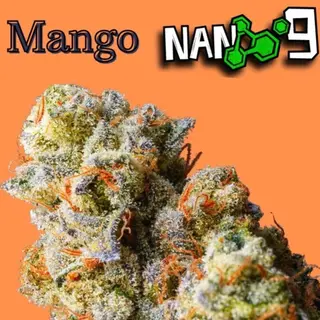 Flor Mini Mango Nano9 CBD 60% - 2G