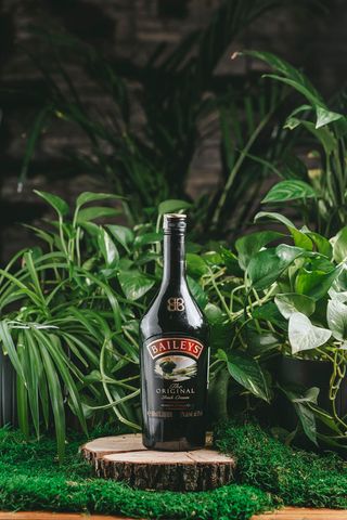 BA I L E Y S  (50 мл.)