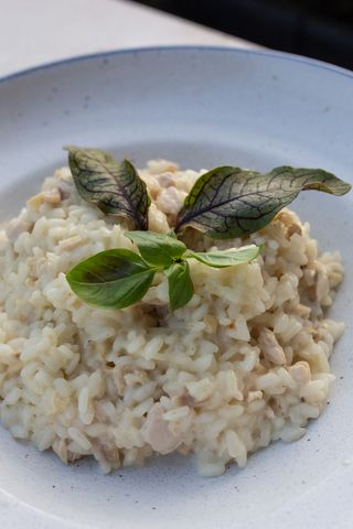Risotto sa piletinom 400gr