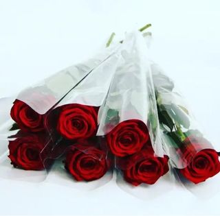 1 Rose Rouge  Message D’amour