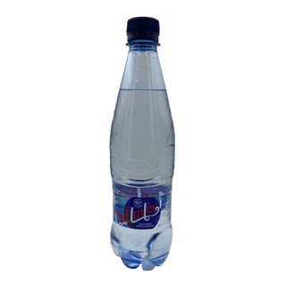 OULMES 0,5cl