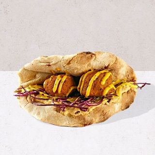 HUMMUS SAPIENS