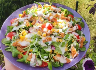 Salata s piletinom