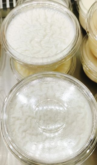 Panna Cotta