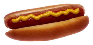 Hot Dog