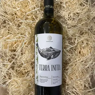 Вино Біле Сухе, Terra Initia, Rkatsiteli, 2016рік (грузія), 750мл