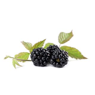 Santoro Santoro More Std I Gamma Vassoio 1 00125 Gr Nobio