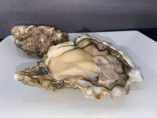 Ostras Del Sol (6 Uds.)