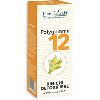 Polygemma nr. 12 - Rinichi Detoxifiere