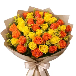 Bloom Yellow Song