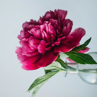 მისალოცი ბარათი