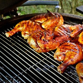 KURCZAK TABAKA Z GRILLA