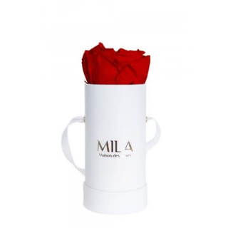 Mila Classique Baby