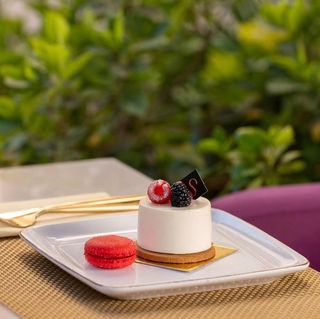 Cheese Cake Fruit Rouge