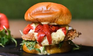 Pimpollo