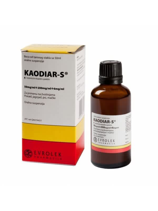 Vitamini i Dodaci Ishrani za Mačke