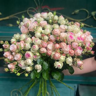 Փնջային վարդեր(045)