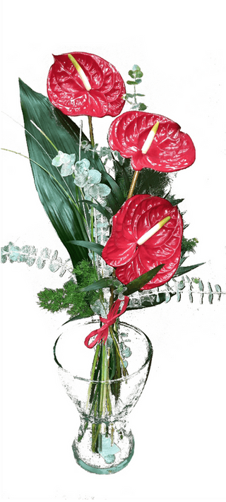 Ramo De Anthurium