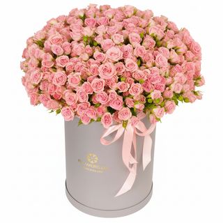 Композиція"Pink Sound"