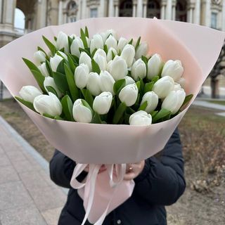 25 білий тюльпан 