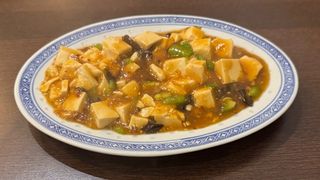 91-Ma po tofu piccante