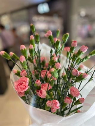 15szt - różowe gozdziki 