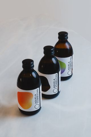 Kombucha Citrus