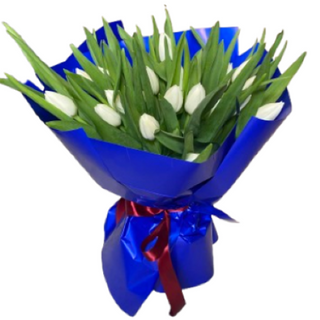 Bukiet tulipanów <<S<<