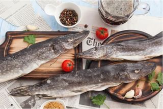 Щука В'ялена Патрана (100г)