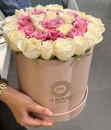 box moyenne nude