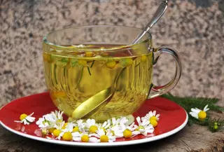 Infusiones Premiun (250 Ml.)