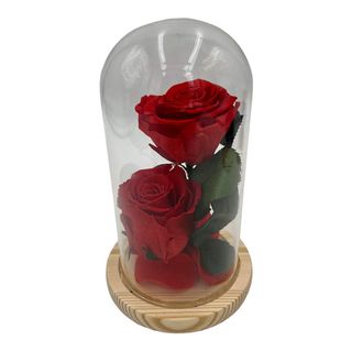 Bella y bestia (2 rosas)