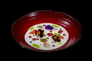 Paraíso Sakura (8 Uds.)