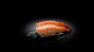 504. Nigiri ebi