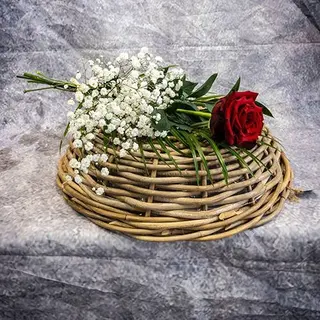 1 ROSA ROJA