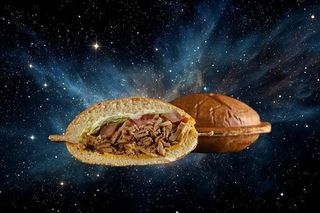 Carne Vegetale Planted Ufo