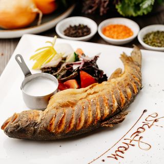 Форель классическая 