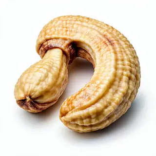 298. Кашу