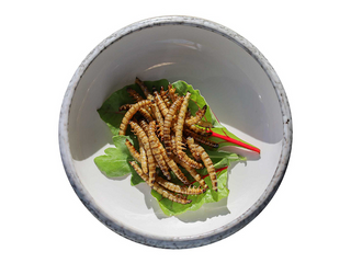 Зоофобаси (5шт.)