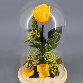 Rosa Preservada en Cúpula "Bella y Bestia" (Amarilla)