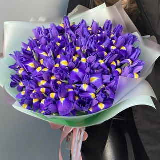 Букет із 51 фіолетового іриса