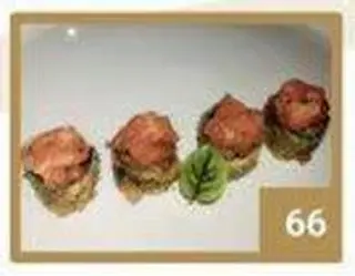 66 Hosso special
