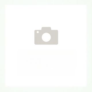 145. Пържено оризово фиде с три вид месо и лук (500г)