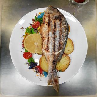 Ципура (1бр)